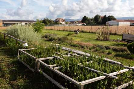 Hôtel Artemis Brioude · Hôtel Restaurant Brioude (43)