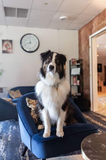 Hôtel Artemis Brioude · Hôtel Restaurant Brioude (43)